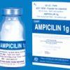 Thuốc Ampicillin 1g