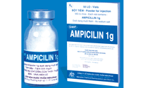 Thuốc Ampicillin 1g