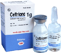 Thuốc Ceftrione 1g