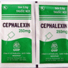 Thuốc Cephalexin 250mg