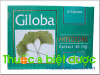 Thuốc Giloba 40mg