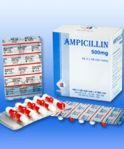 Thuốc Ampicillin 500mg