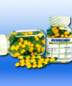 Thuốc Berberin 100mg