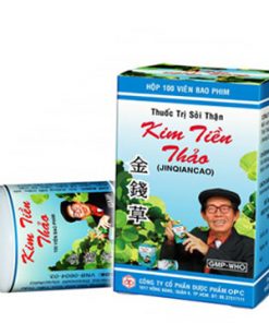 Thuốc Thuốc trị sỏi thận Kim tiền thảo