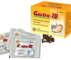 Thuốc Gastro 6g