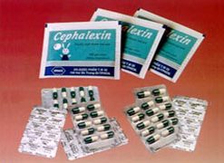 Thuốc Cephalexin 250mg