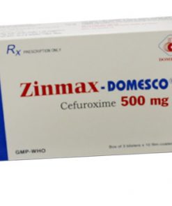 Thuốc Zinmax-Domesco 500 mg
