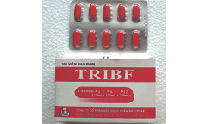 Khoáng chất và Vitamin TRIBF